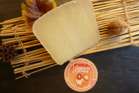 massipou-brebis-mirepoix-ariege-fromage