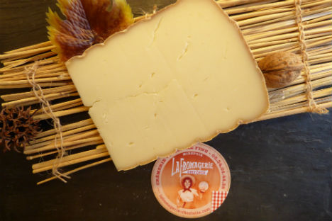 moulis-brebis-mirepoix-ariege-fromage