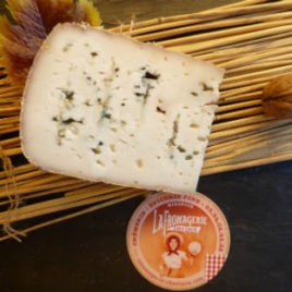 moulis-chevre-bleu-mirepoix-ariege-fromage
