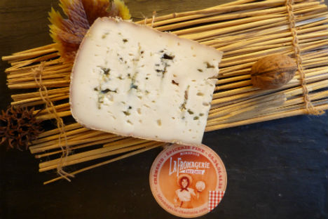 moulis-chevre-bleu-mirepoix-ariege-fromage