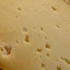 brebis-bio-fromage-aude-fermier