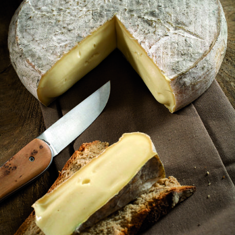 fromages saint nectaire